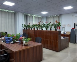 公司环境